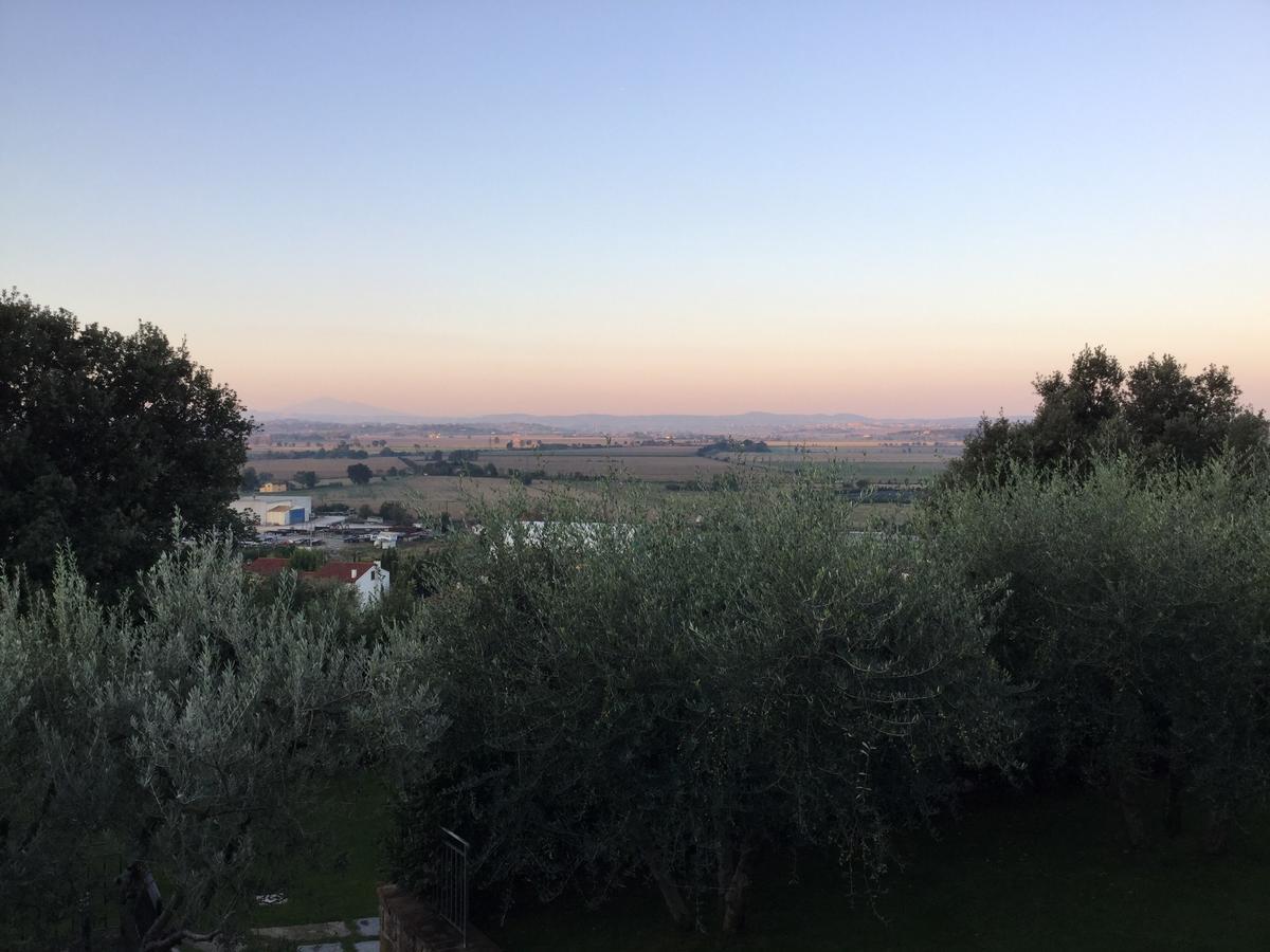 Agriturismo Borgo Tra Gli Olivi Кастилион Фиорентино Екстериор снимка