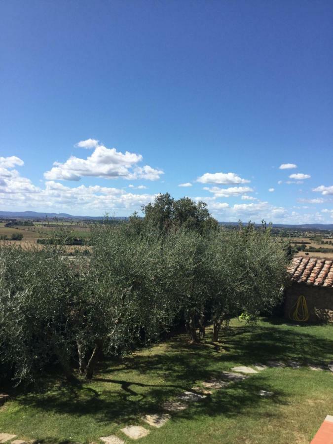 Agriturismo Borgo Tra Gli Olivi Кастилион Фиорентино Екстериор снимка